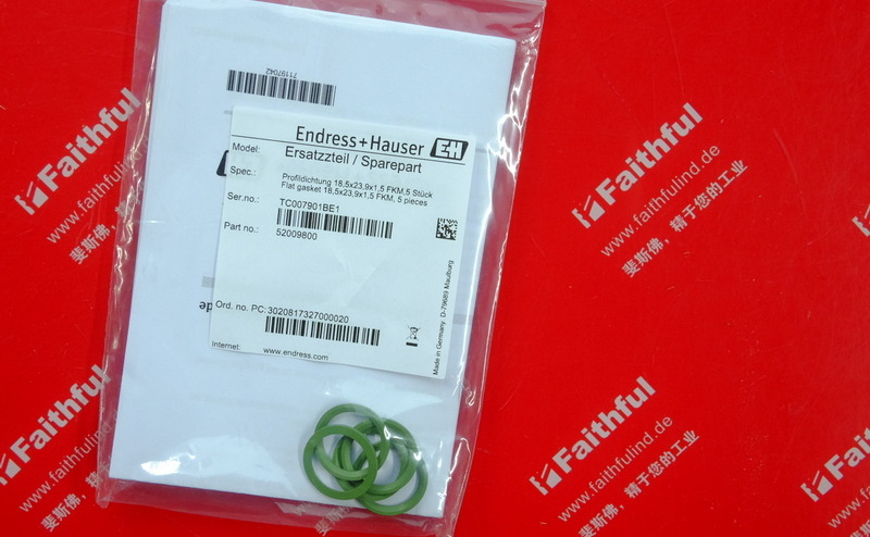 E+H 52009800 恩德斯豪斯平密封垫片 Endress+Hauser