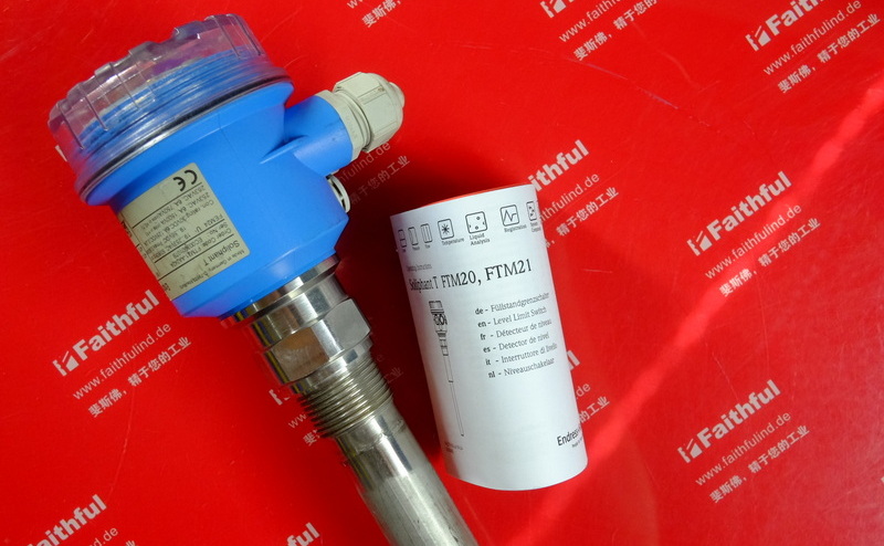 E+H FTM21-AA242A 恩德斯豪斯音叉料位开关 Endress+Hauser FEM24