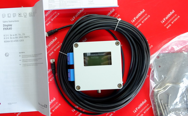 E+H FHX40-21B 恩德斯豪斯远程显示仪 Endress+Hauser